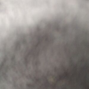 Black Cotton Cover